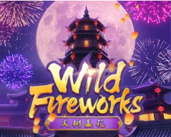 wild fireworks by เนรมิต 789